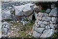 P3307768.JPG