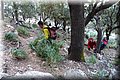 P3307783.JPG