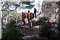 P3307843.JPG