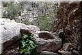 P3307889.JPG