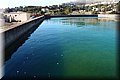 P3307963.JPG