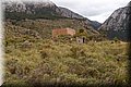P4048097.JPG