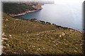 P4048102.JPG