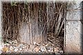 P4088201.JPG