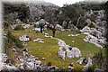 P4088209.JPG
