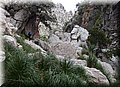 P4088240.JPG