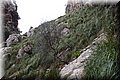 P4088243.JPG