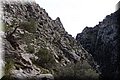 P4088258.JPG