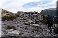 P4088342.JPG