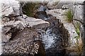 P4088354.JPG