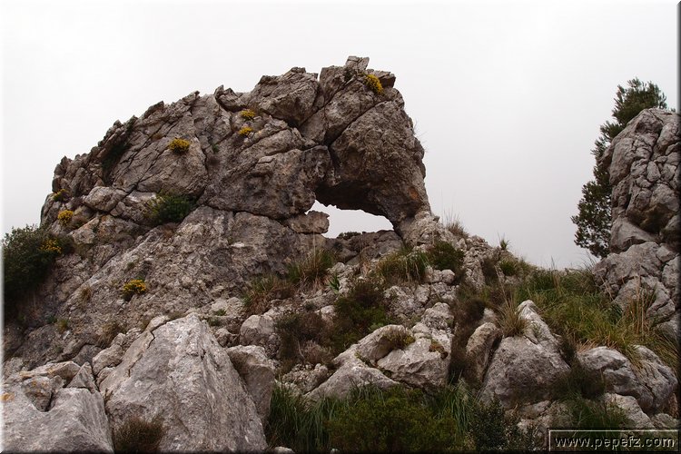 P4228976.JPG