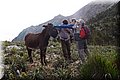 P4228741.JPG
