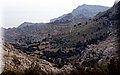 P4228746.JPG