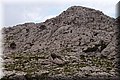 P4228800.JPG