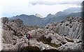 P4228831.JPG