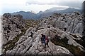 P4228833.JPG