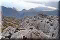 P4228838.JPG