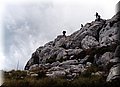 P4228841.JPG