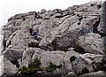 P4228842.JPG