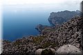 P4228856.JPG
