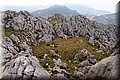 P4228858.JPG