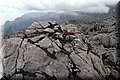 P4228863.JPG