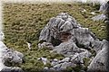 P4228869.JPG