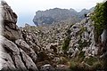 P4228876.JPG