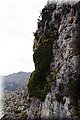P4228887.JPG