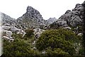 P4228915.JPG