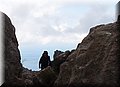 P4228942.JPG