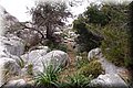 P4228948.JPG