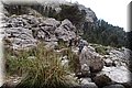 P4228981.JPG