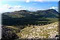 P5139093.JPG
