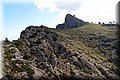 P5139095.JPG