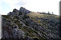 P5139103.JPG