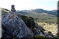 P5139116.JPG