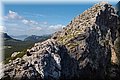 P5139128.JPG