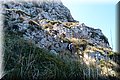 P5139133.JPG