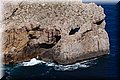 P5139150.JPG