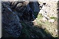 P5139173.JPG