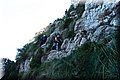 P5139300.JPG