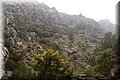 P5169469.JPG