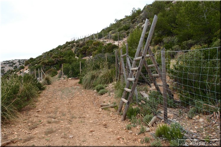 P5209754.JPG