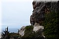 P5209662.JPG