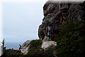 P5209663.JPG