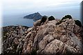P5209685.JPG