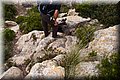 P5209694.JPG