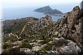 P5209698.JPG