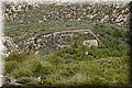 P5209706.JPG